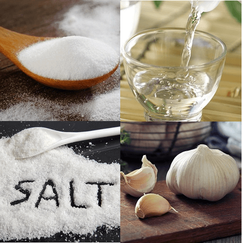 Nguyên liệu làm tỏi xanh Trung Quốc