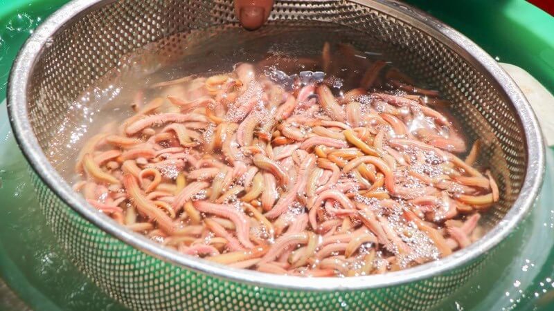 Cách sơ chế rươi nấu lẩu