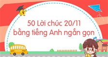 60 Lời chúc 20/11 bằng tiếng Anh ngắn gọn
