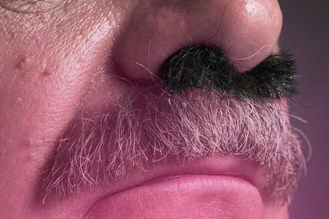 Lông mũi là gì? 