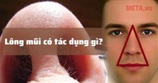 Lông mũi có tác dụng gì? Có nên cắt, tỉa lông mũi không?