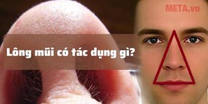 Lông mũi có tác dụng gì? Có nên cắt, tỉa lông mũi không?