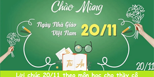 30+ Lời chúc thầy cô 20/11 theo môn học hay, ý nghĩa nhất