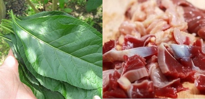 Nguyên liệu chính nấu canh lá đắng lòng gà