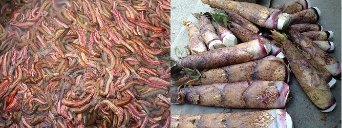 Cách nấu canh rươi măng