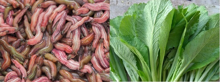 Nguyên liệu làm canh rươi nấu rau cải