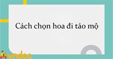 Cách chọn hoa đi tảo mộ
