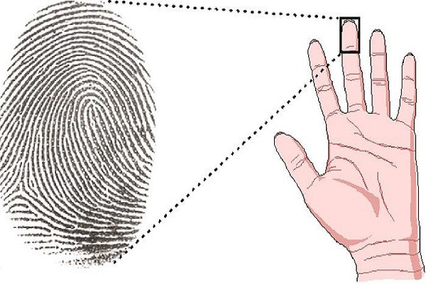 Tìm hiểu về người không có hoa tay