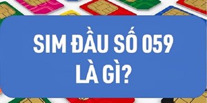 059 là mạng gì? Đầu số 059 có đẹp không?