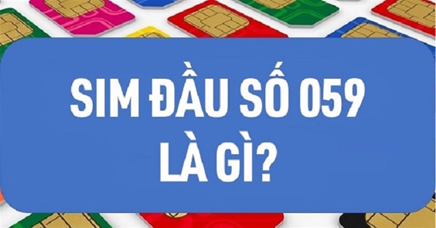 059 là mạng gì? Đầu số 059 có đẹp không?