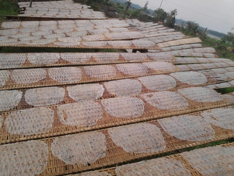 Đem bánh vừa tráng để lên vỉ rồi mang phơi nắng