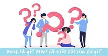 Moet là gì? Moet là viết tắt của từ gì? Moet là bộ nào?
