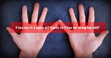 9 hoa tay có ý nghĩa gì? Người có 9 hoa tay sướng hay khổ?