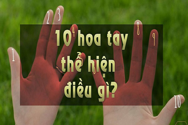 Tìm hiểu về 10 hoa tay