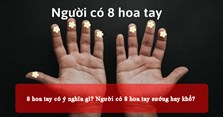 8 hoa tay có ý nghĩa gì? Người có 8 hoa tay sướng hay khổ?