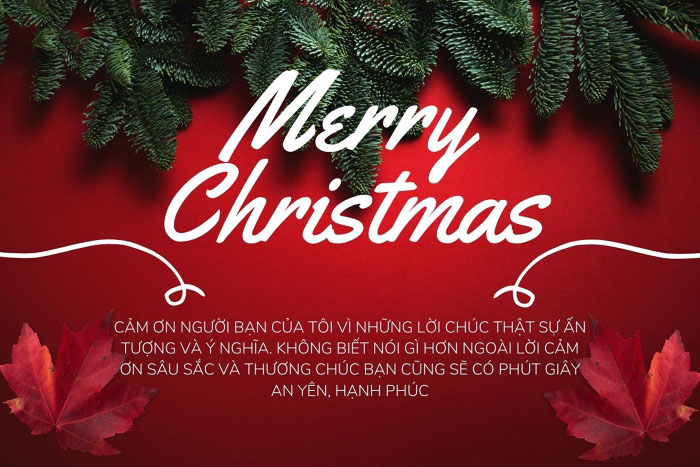 Lời cảm ơn Noel hay nhất