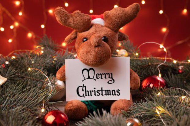 Câu chúc Giáng Sinh cho người yêu cũ