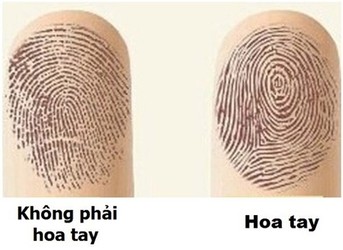 Tìm hiểu về hoa tay