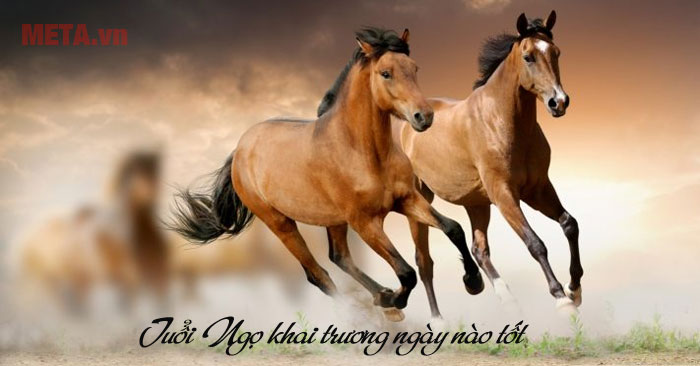 Tuổi Ngọ khai trương ngày nào tốt Tuổi Giáp Ngọ khai trương ngày nào tốt