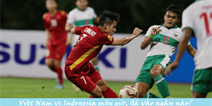 Trực tiếp Việt Nam vs Indonesia: Mấy giờ đá, ngày nào, xem ở đâu?