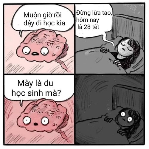 Ảnh meme ngày Tết