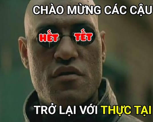 Ảnh meme Tết 2023