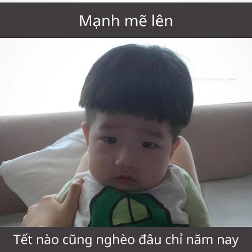 Ảnh meme đón Tết
