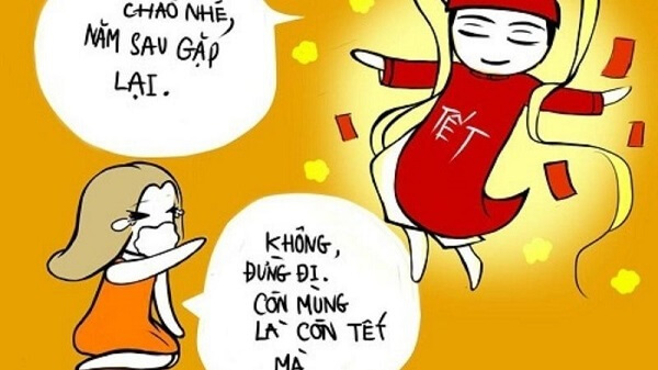 Ảnh meme Tết