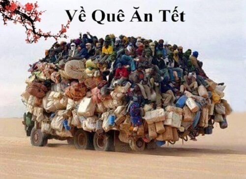 Ảnh meme Tết 2023