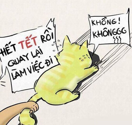 Ảnh meme mèo Tết