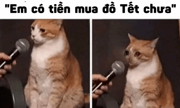 Ảnh meme đón Tết