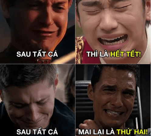 Meme Tết