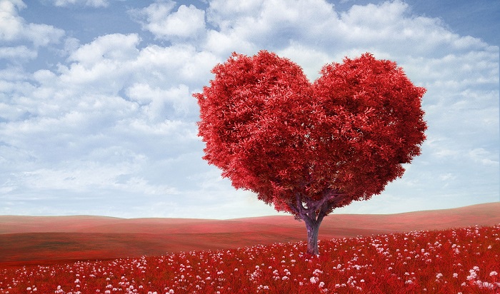 Background Valentine