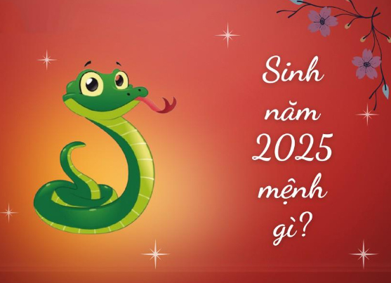 Tìm hiểu sinh năm 2025 mệnh gì