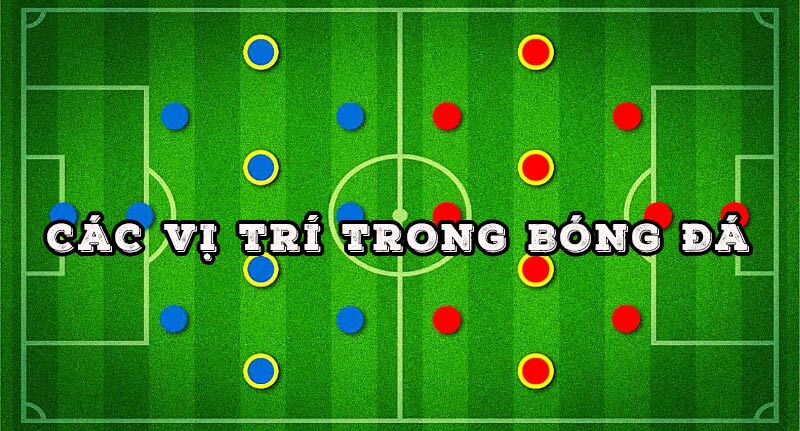 Các vị trí trong bóng đá bằng tiếng Anh và tiếng Việt