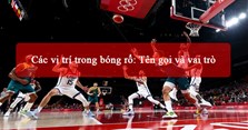 Các vị trí trong bóng rổ: Tên gọi và vai trò