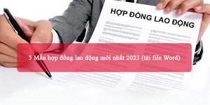 5 Mẫu hợp đồng lao động mới nhất 2024 (tải file Word)