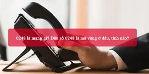 0248 là mạng gì? Đầu số 0248 là mã vùng ở đâu, tỉnh nào?