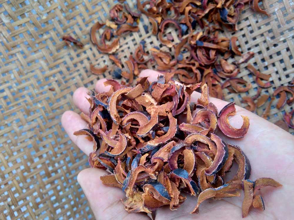 Sơ chế và phơi vỏ măng cụt