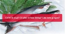 Cá hú là cá gì? Có phải cá basa không? Làm món gì ngon?