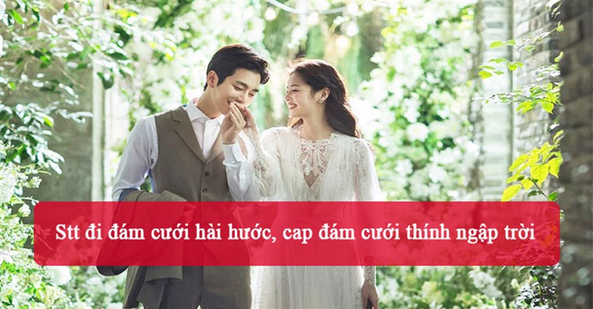 Stt đi đám cưới hài hước, cap đám cưới thính ngập trời