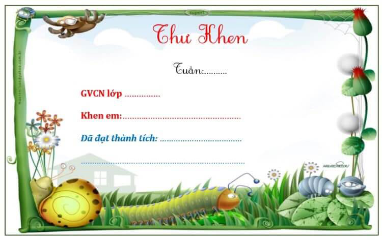 Mẫu thư khen đẹp