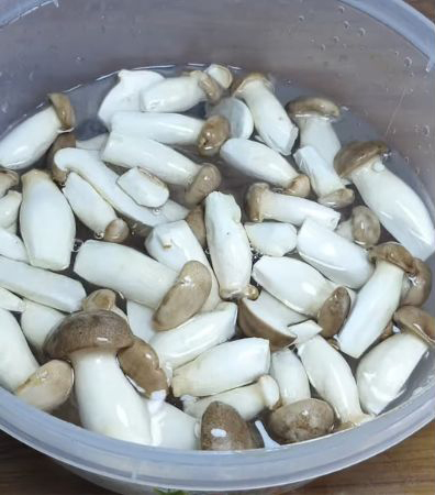 Sơ chế nguyên liệu