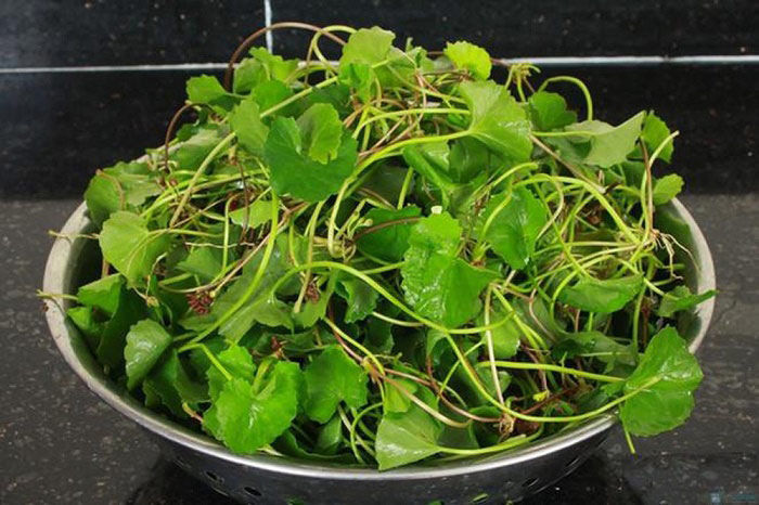 Sơ chế nguyên liệu