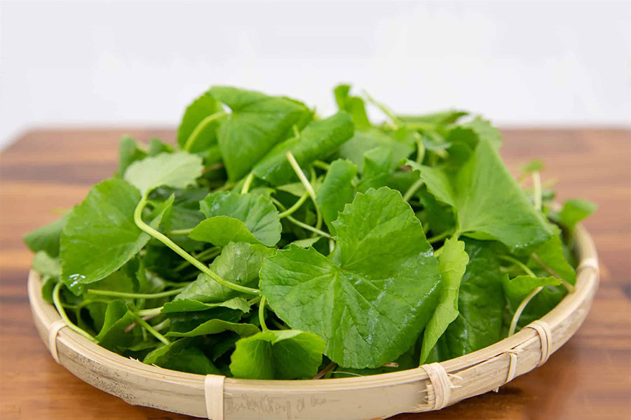 Sơ chế nguyên liệu