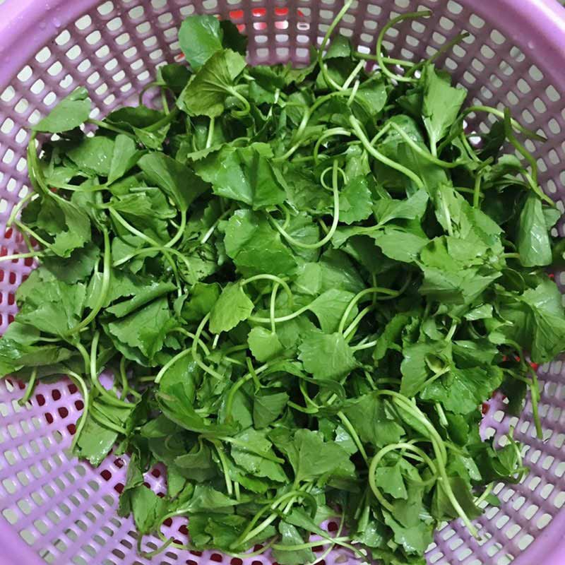 Sơ chế nguyên liệu