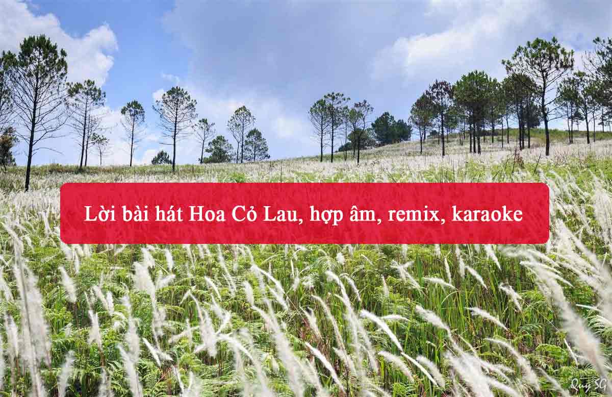 Lời bài hát Hoa Cỏ Lau - Phong Max