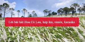 Lời bài hát Hoa Cỏ Lau, hợp âm, remix, karaoke