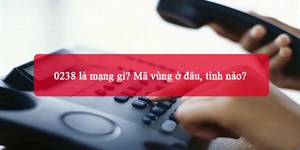 0238 là mạng gì? Mã vùng ở đâu, tỉnh nào?