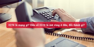 0258 là mạng gì? Đầu số 0258 là mã vùng ở đâu, đổi thành gì